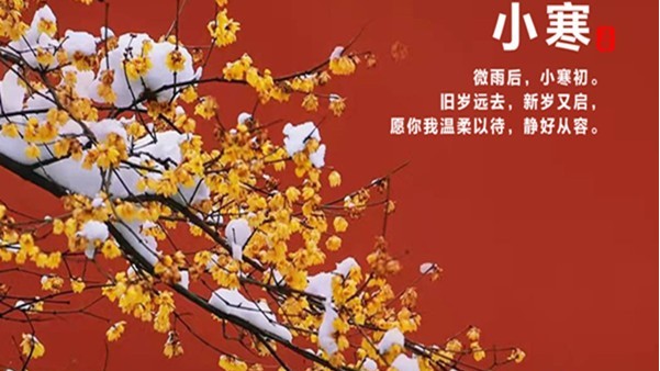 二十四節氣倒數第二個節氣之小寒（hán）