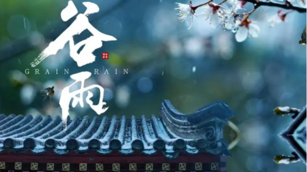 穀雨（yǔ）時節到（dào）願（yuàn）收獲滿滿